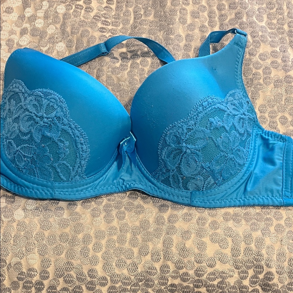 Elegant Blue Lace Women's Bra